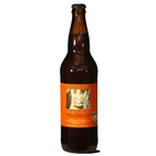 Elysian Night Owl Pumpkin Ale